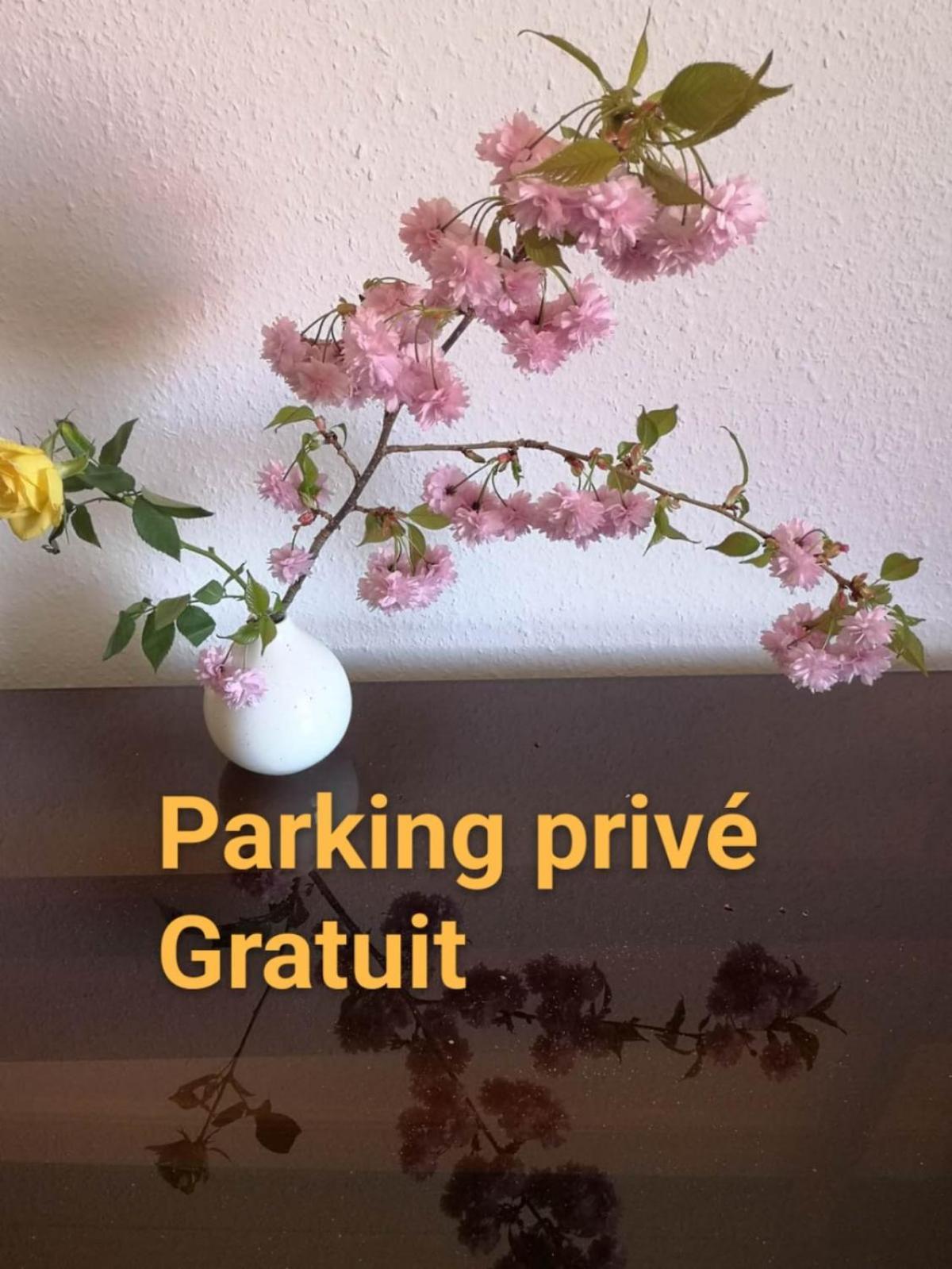 Apartment Zen Center Avec Parking *